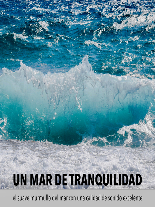 Title details for Un mar de tranquilidad by Robert van Dyck - Available